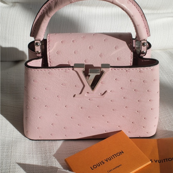 Louis Vuitton Pink Mini Capucine - Picture 3 of 15
